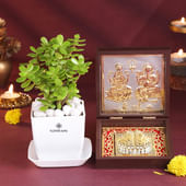 Jade Plant N Charan Paduka Combo