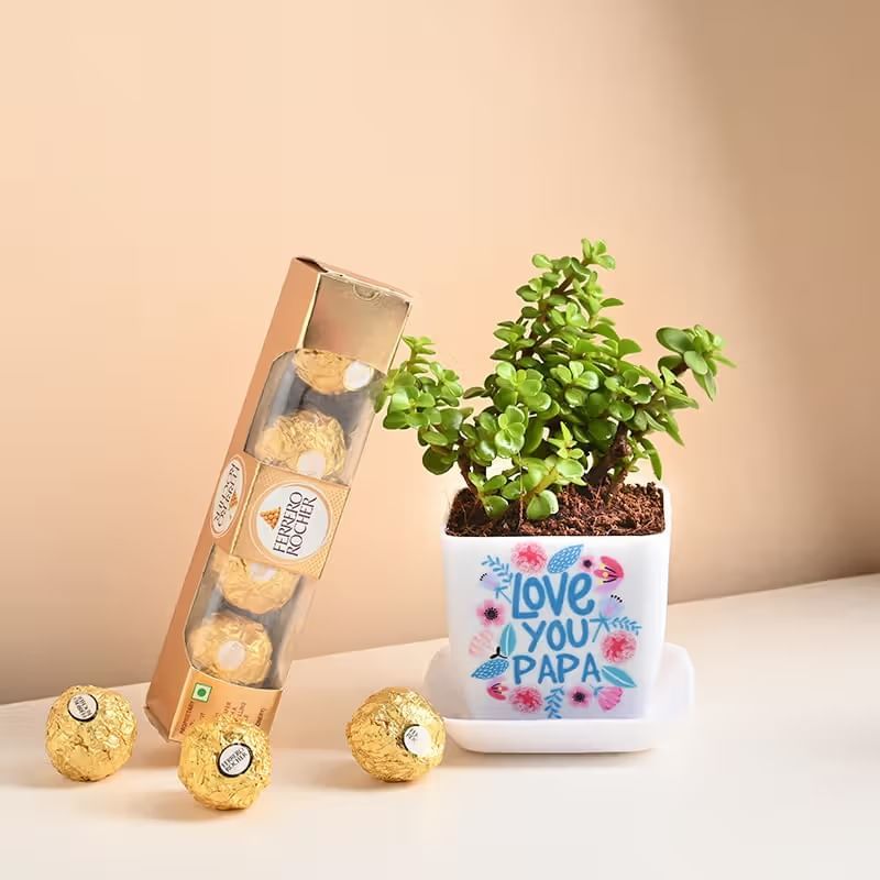 Jade Plant N Chocolate Fathers Day Combo