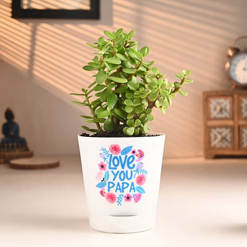 Product Image Video