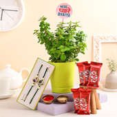 Jade Plant N Chocolates With Floral Rakhis
