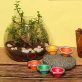 Jade Plant N Diya Set - Succulent and Cactus Plant Outdoors in Gola Vase and Set of 5 Diyas