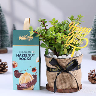 Jade Plant N Hazelnut Rocks For New Year
