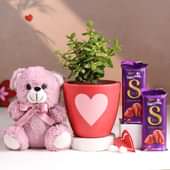 Jade Plant N Love Essentials Hamper