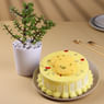 Jade Plant N Rasmalai Pista Cake Combo
