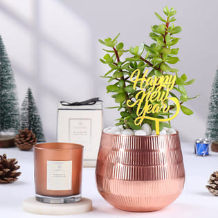 Jade Plant N Scented Candle For New Year