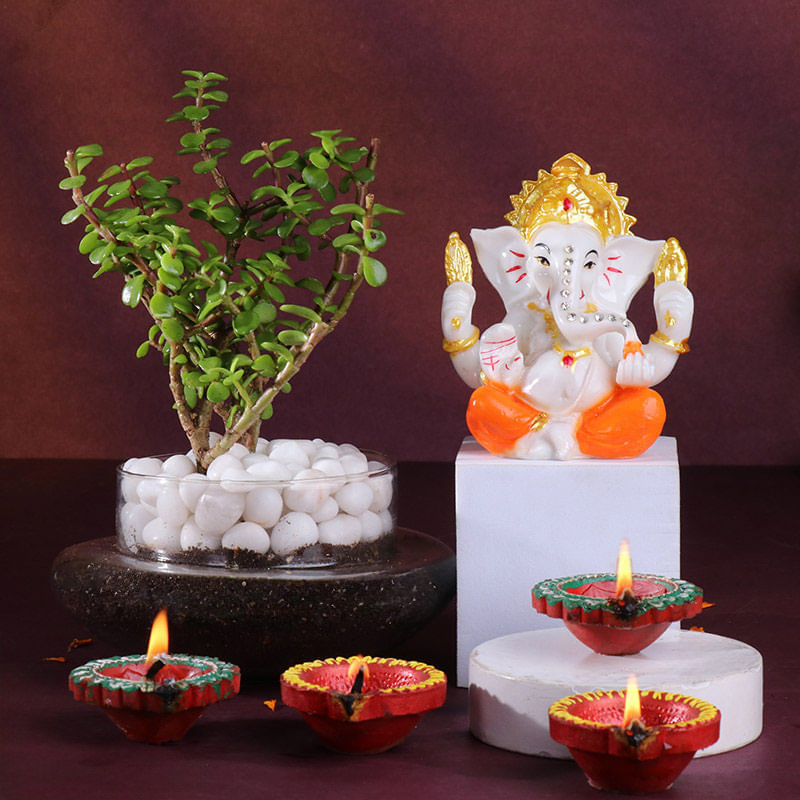 Jade Plant With Ganesha Idol N Diyas