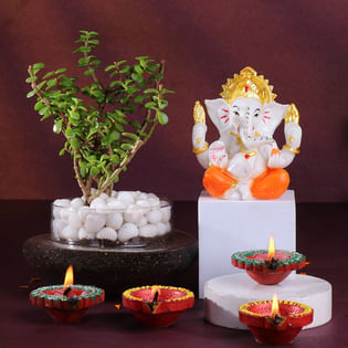 Jade Plant With Ganesha Idol N Diyas