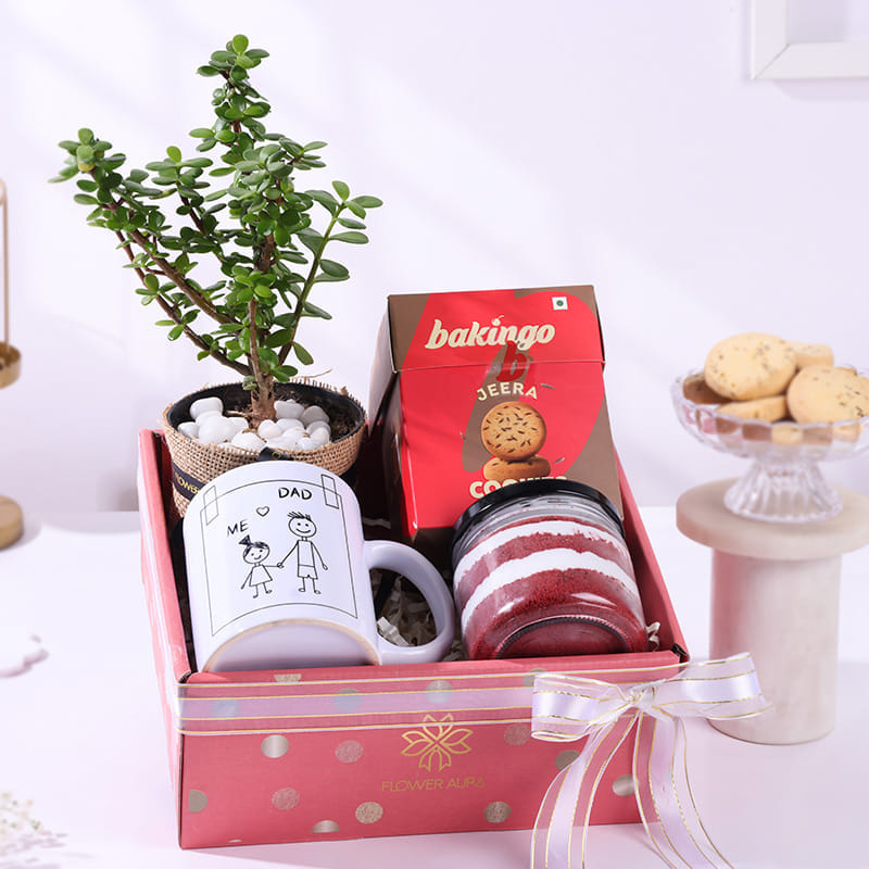 Jade Plant With Mug N Treats For Dad