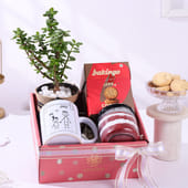 Jade Plant With Mug N Treats For Dad