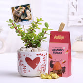 Jade Plant With Photo N Chocolates