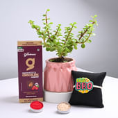 Jade Plant With Quirky Rakhi N Chocolate
