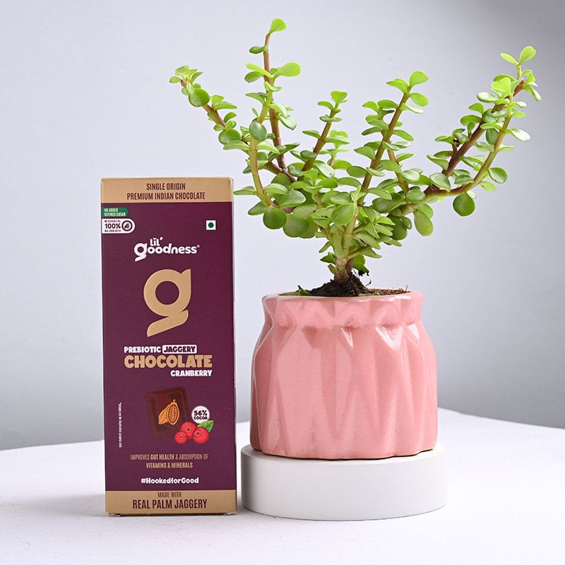 Product Image Video