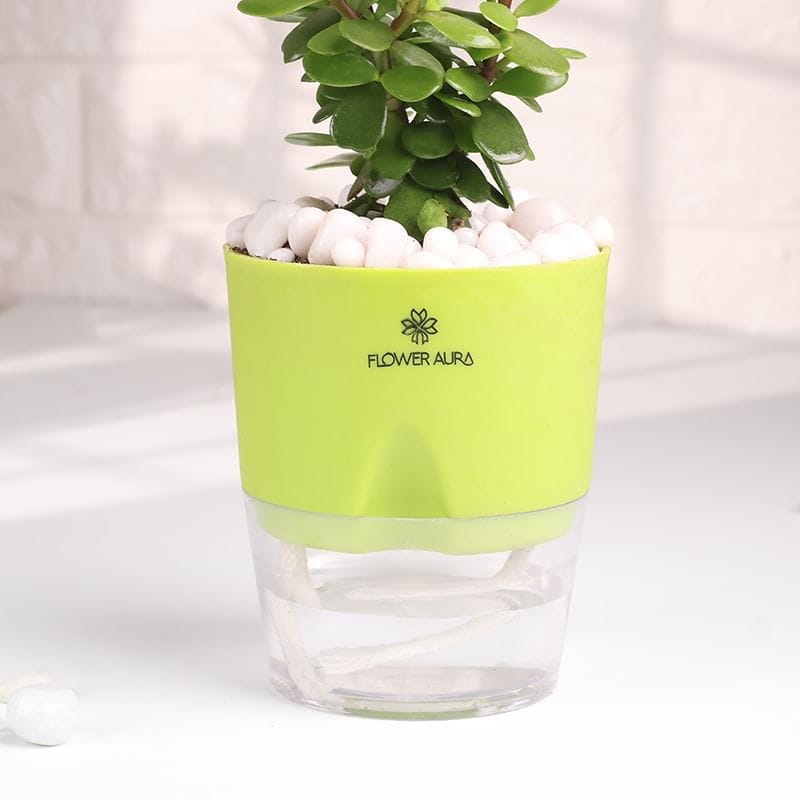 Product Image Video