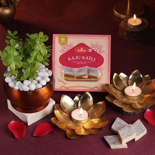 Jade Plant With Sweets N Diyas