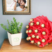 Jade Rochers Love - Indoor Good Luck Plant with Floweraura Chatura Vase Bouquet of 16 Ferrero Rocher Chocolates