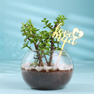 Jade Terrarium In Love You Maa Glass Pot