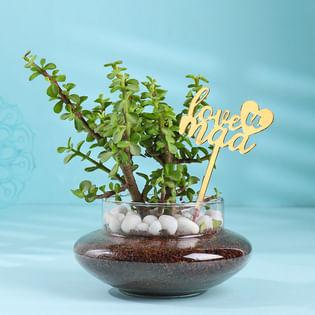 Jade Terrarium In Love You Maa Potpurri Glass