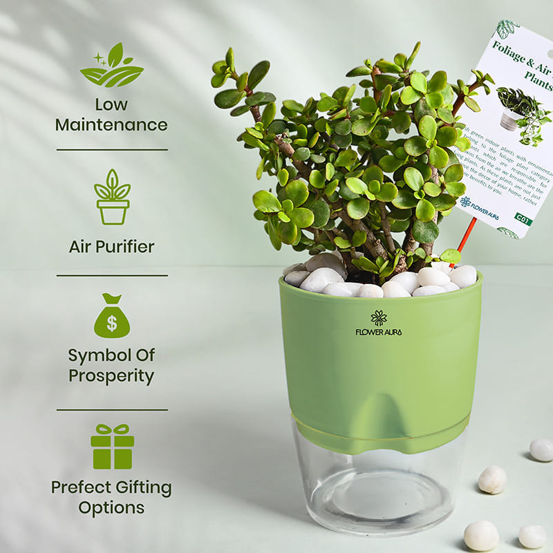Product Image Video