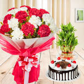 Jaw Dropping Combo - 5 red and 5 white Carnations&#44; half kg Blackforest cake&#44; 2 tier lucky bamboo