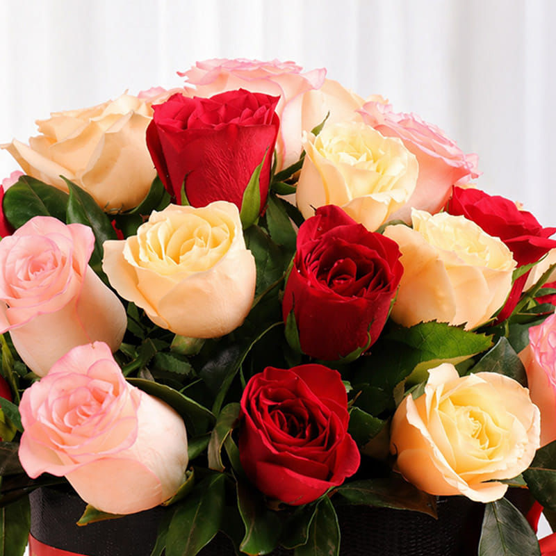 Joyful Breath Of Blooming Petals