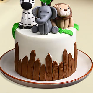 Top View of Jungle Joy Cake