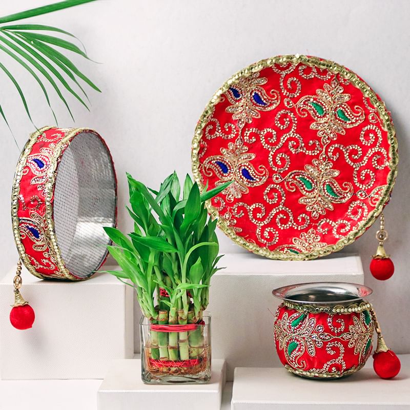 Karwa Chauth Bamboo Plant Combo