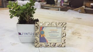 Kfintech Plant And Fridge Magnet Product