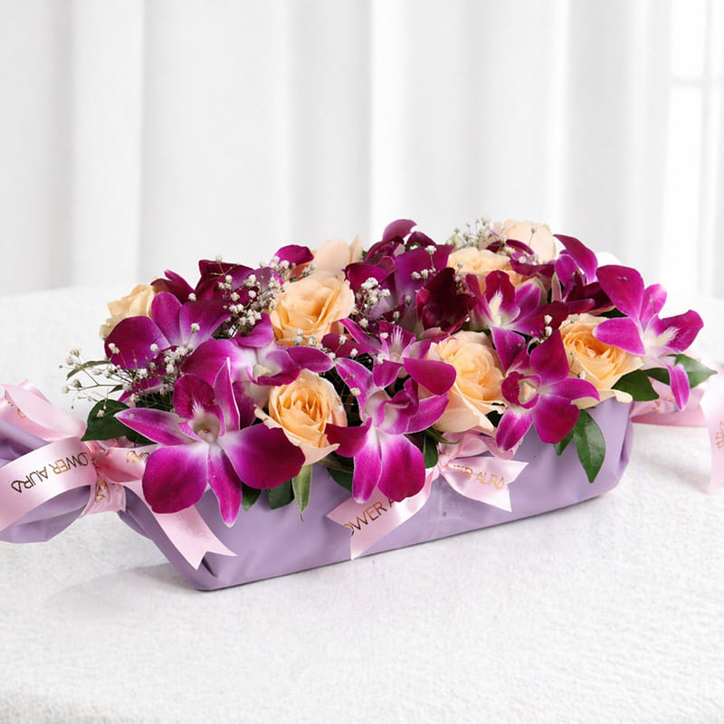 Product Image Video