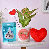 Order Kisses Pink Aglaonema Combo for Valentine