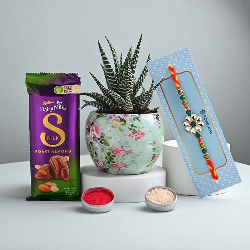 Kundan N Beads Rakhi With Haworthia Plant N Silk