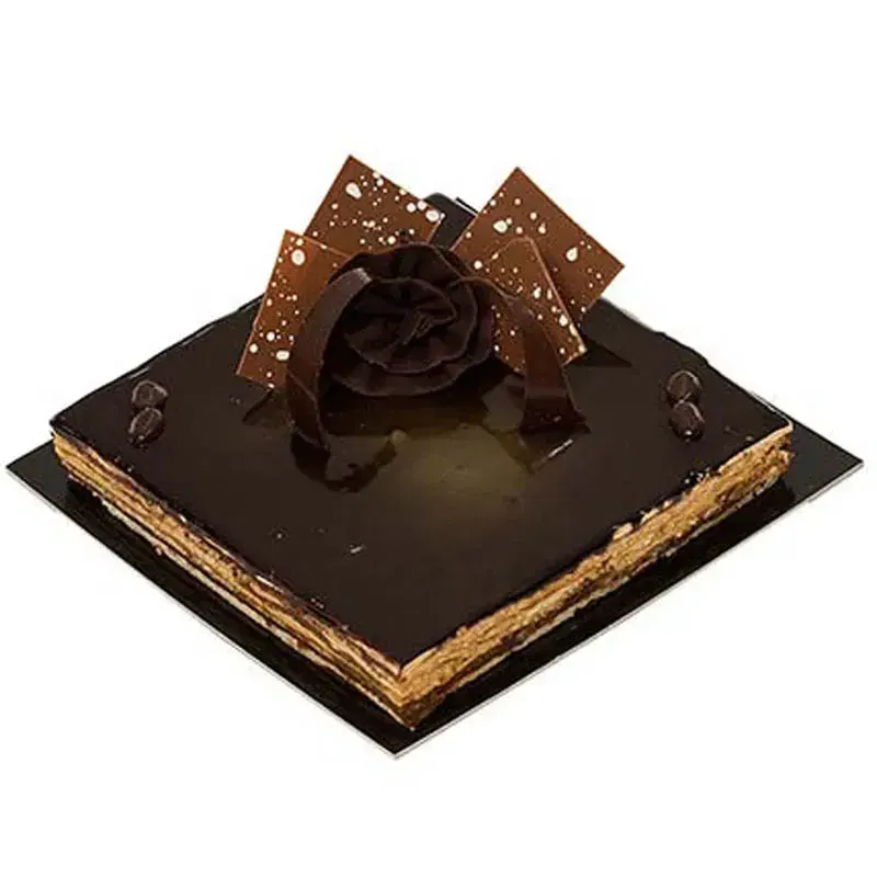 Glossy Ganache Chocolate Cake