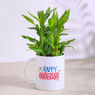 Leafy Bamboo Plant In Anniversary Mug