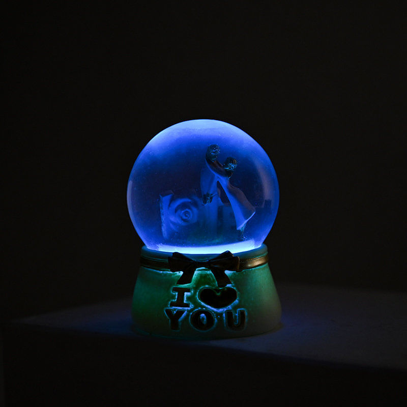 Buy LED Couple Theme Snow Globe Gift for Valentine