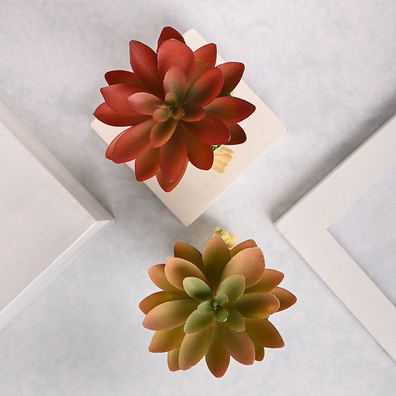 Lifelike Artificial Succulent Duo Online