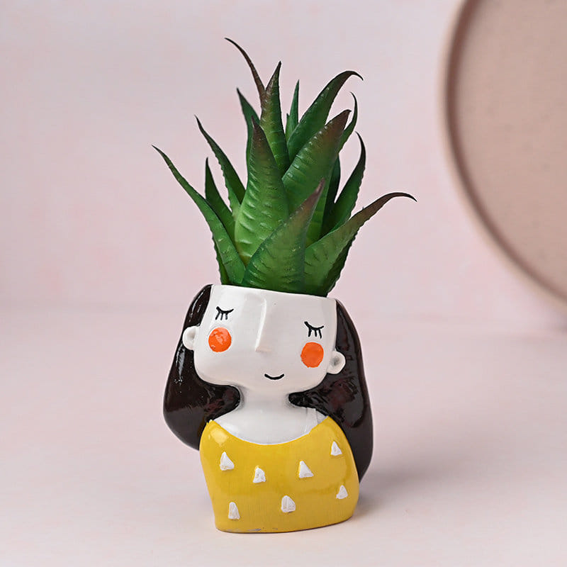 Send Likelike Artificial Howarthia Duo Plant Online 