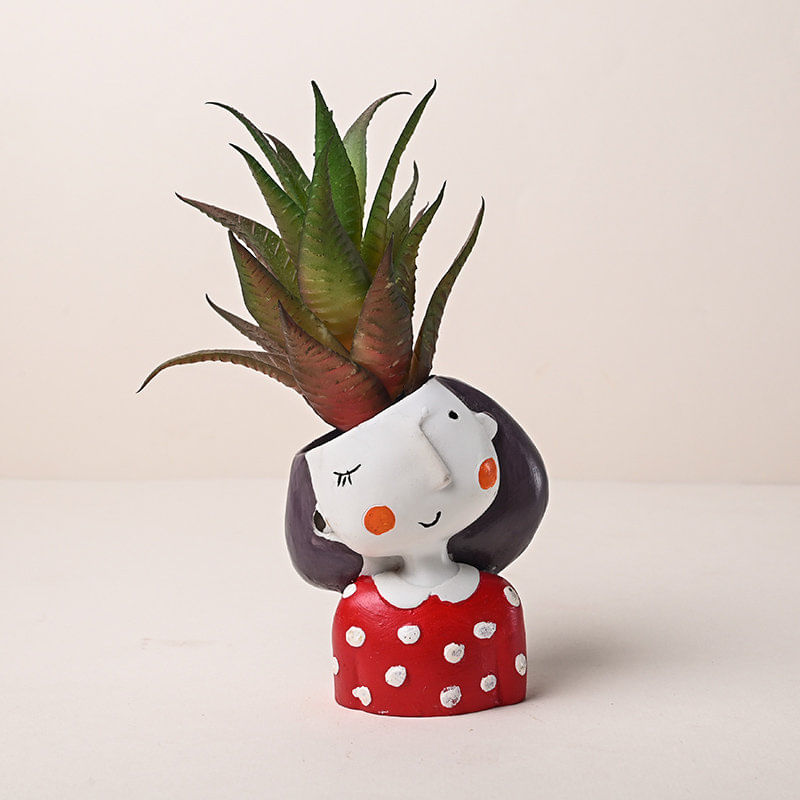 Likelike Artificial Howarthia Duo Plant Online 