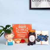 Lil Bro Plant Rakhi Combo - One Designer Rakhi with Roli and Chawal and Choco Almonds in Plastic Container and Foliage Plant in Sparrow Boy Vase