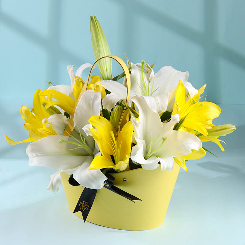 Lilies In The Morning Light