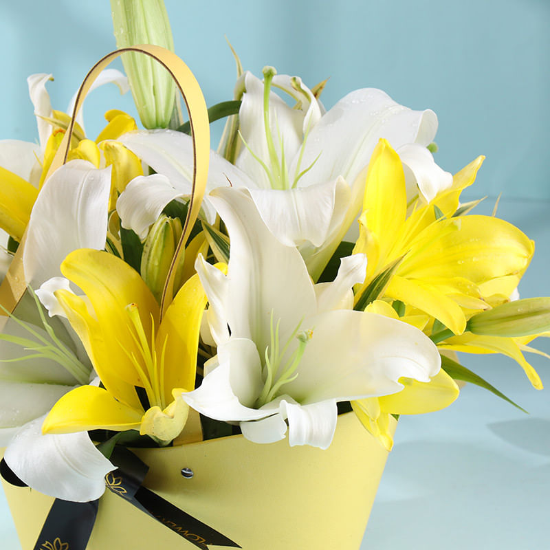 Lilies In The Morning Light