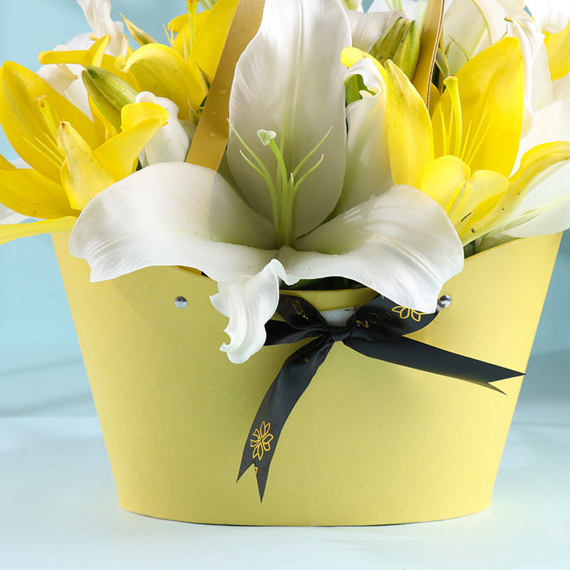 Lilies In The Morning Light