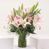 Buy Lilies, Flowers Home Delivery