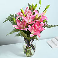 Order Lilies Online