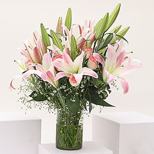 Buy Lilies Online by Floweraura