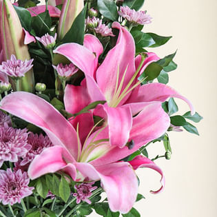 Lily Dreamland With Purple Daisy