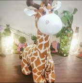 Long Neck Giraffe Soft Toy