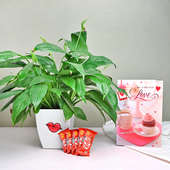 Lovable Peace Lily Greetings