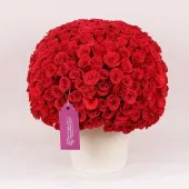 Majestic Vase Of Crimson Rose