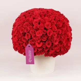 Majestic Vase Of Crimson Rose