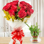 Love And Luck Hamper - Combo of bunch of 12 red Roses and 2 layer bamboo plant