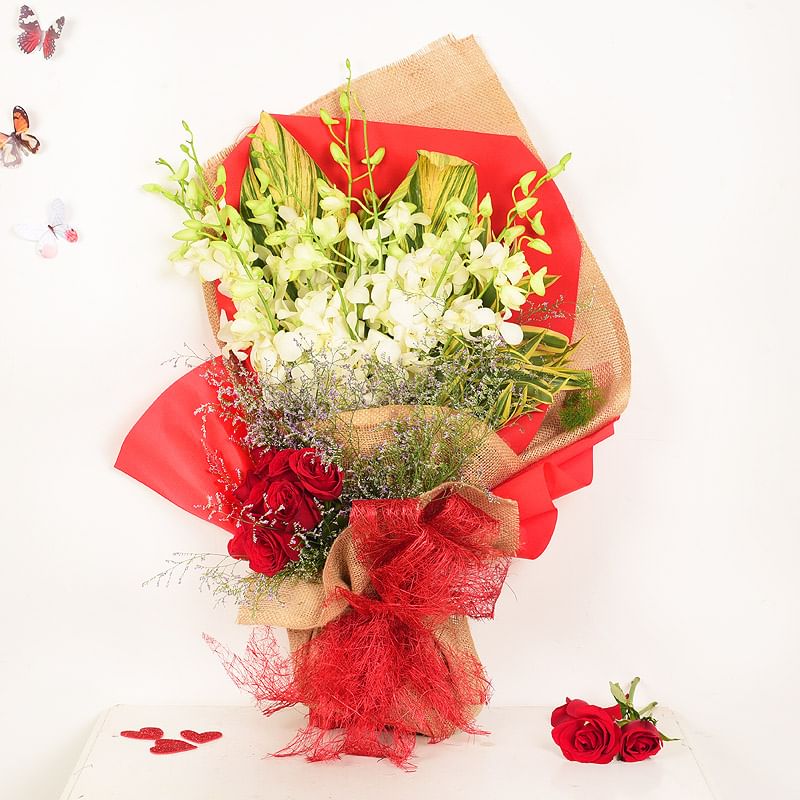Love of Orchids